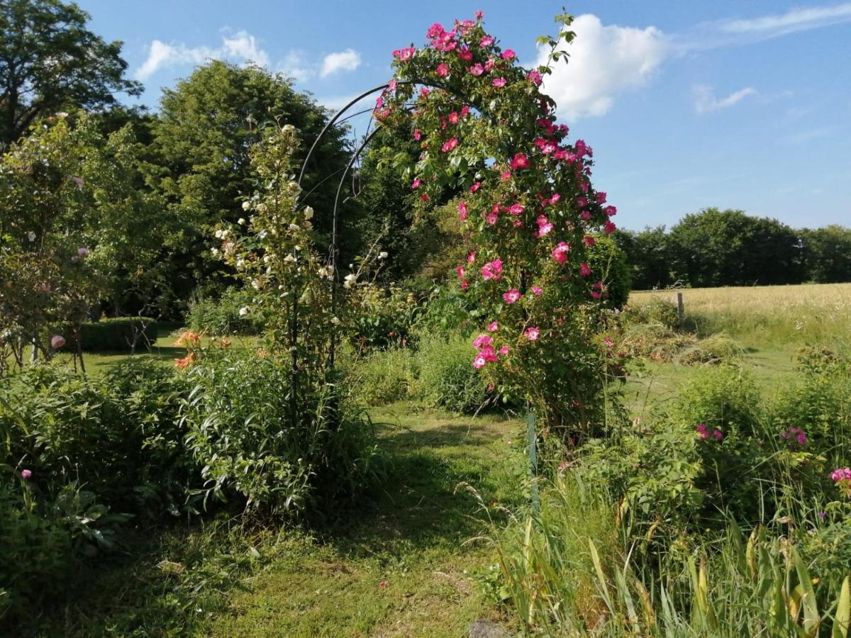 Bed and Breakfast Les Berges De La Planchette Yvignac-la-Tour Exterior foto